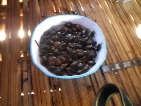 Gandi Puk miju/pahwüy